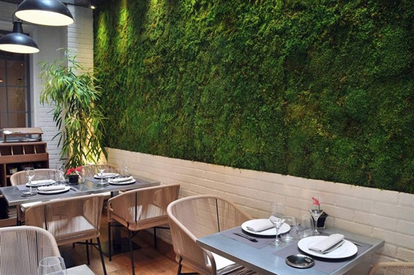 Restaurante Edulis_Patio con jardín vertical